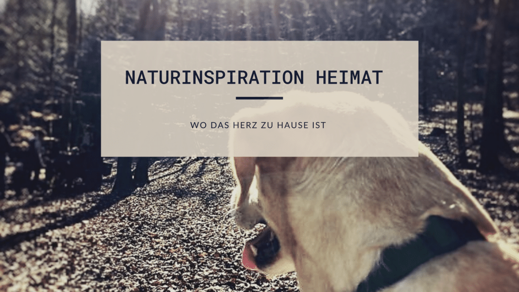 Naturinspiration Wald Heimat