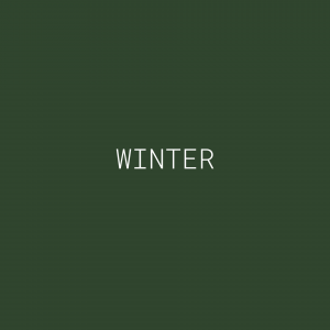 Logo Winter