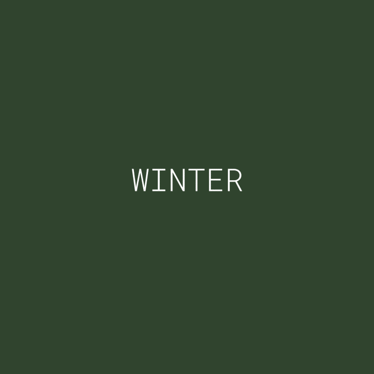 Logo Winter